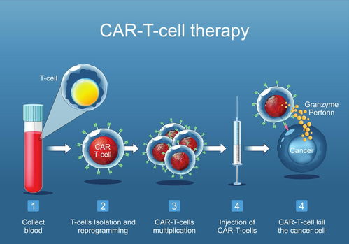 從單點突破到協同發展 省二醫血液科細胞治療中心的成立與展望